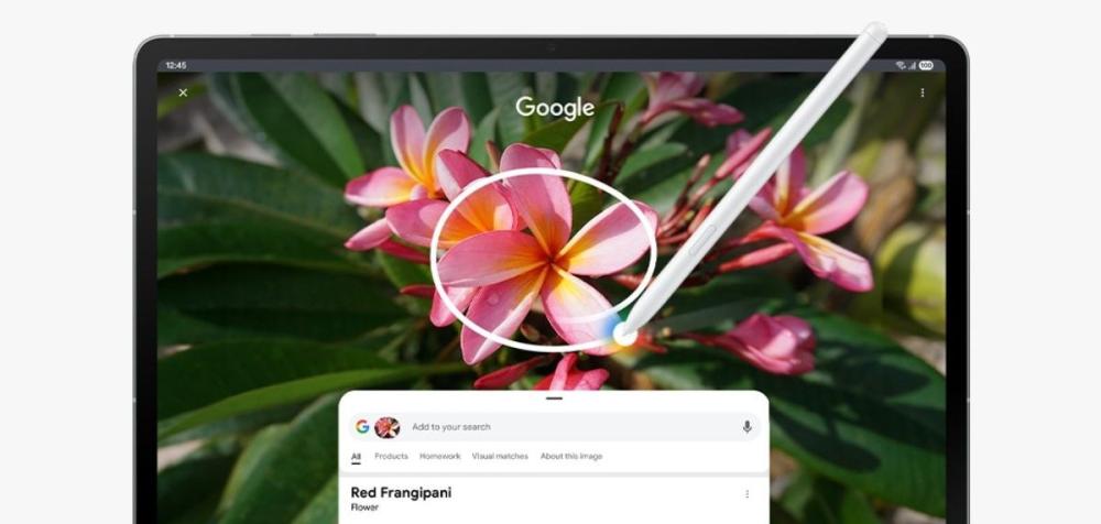 Încercuiește imagini, videoclipuri sau text pe tableta Samsung Galaxy Tab S10 FE 10.9", pentru a obține rapid rezultate de la Google.